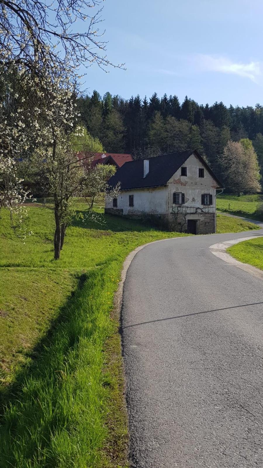 Presshaus Alte Muehle Βίλα Stainz Εξωτερικό φωτογραφία