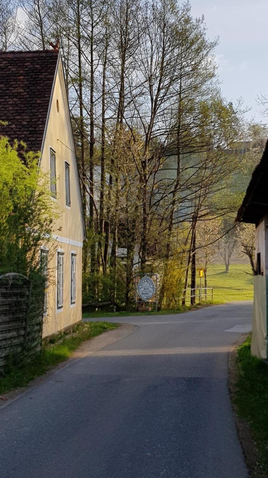 Presshaus Alte Muehle Βίλα Stainz Εξωτερικό φωτογραφία