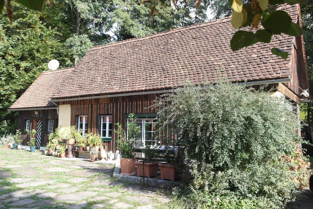 Presshaus Alte Muehle Βίλα Stainz Εξωτερικό φωτογραφία